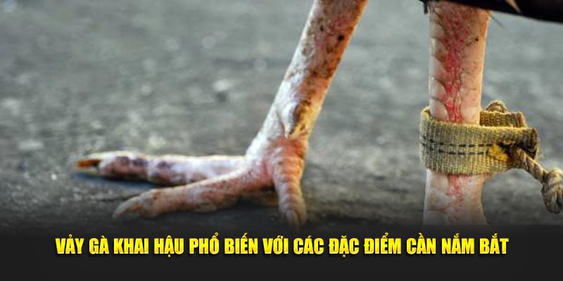 Vảy gà khai hậu phổ biến với các đặc điểm cần nắm bắt